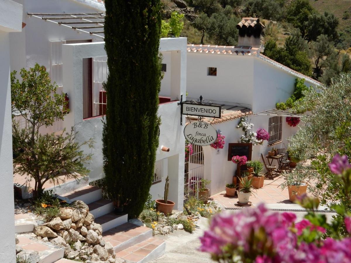 Sedella Bed And Breakfast Lagabella מראה חיצוני תמונה