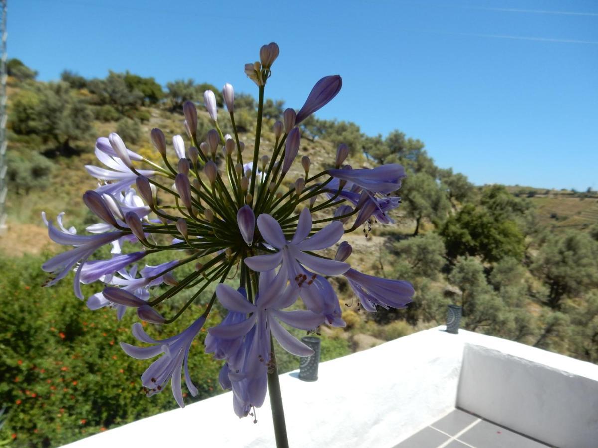 Sedella Bed And Breakfast Lagabella מראה חיצוני תמונה