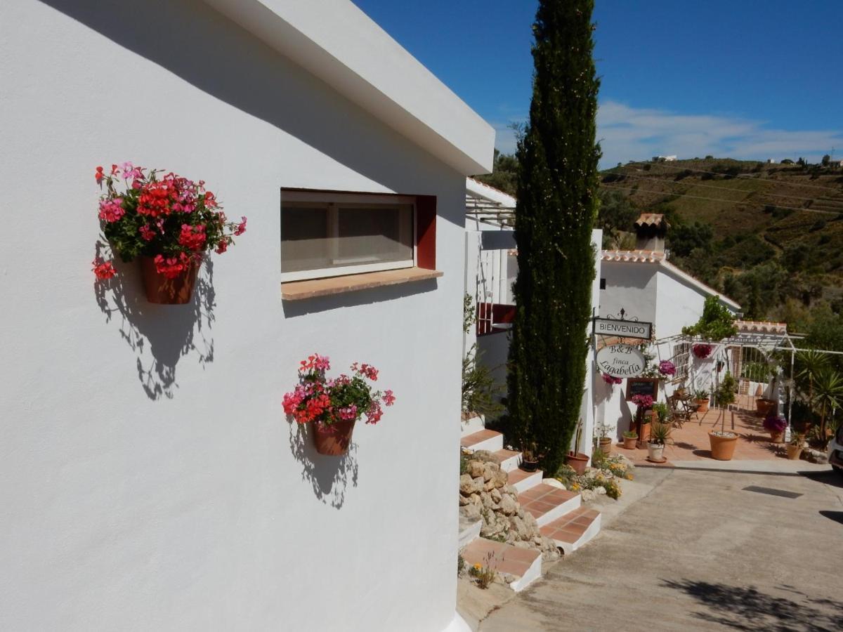 Sedella Bed And Breakfast Lagabella מראה חיצוני תמונה