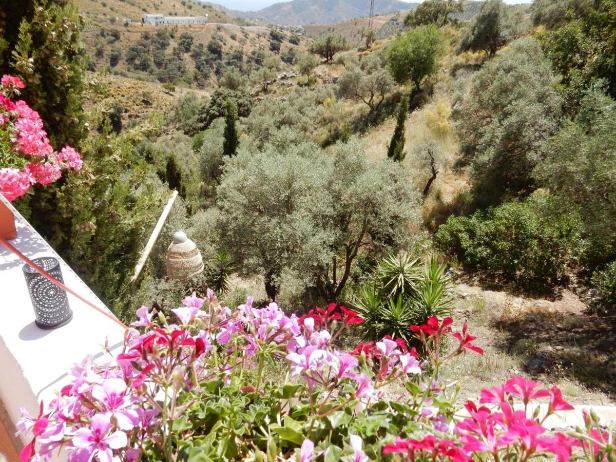 Sedella Bed And Breakfast Lagabella מראה חיצוני תמונה