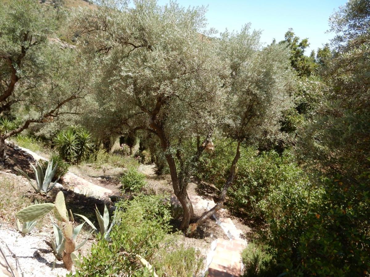 Sedella Bed And Breakfast Lagabella מראה חיצוני תמונה