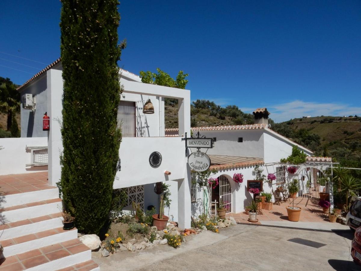 Sedella Bed And Breakfast Lagabella מראה חיצוני תמונה