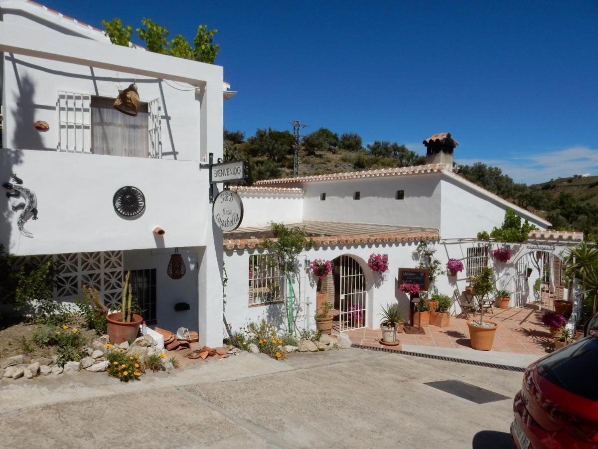 Sedella Bed And Breakfast Lagabella מראה חיצוני תמונה