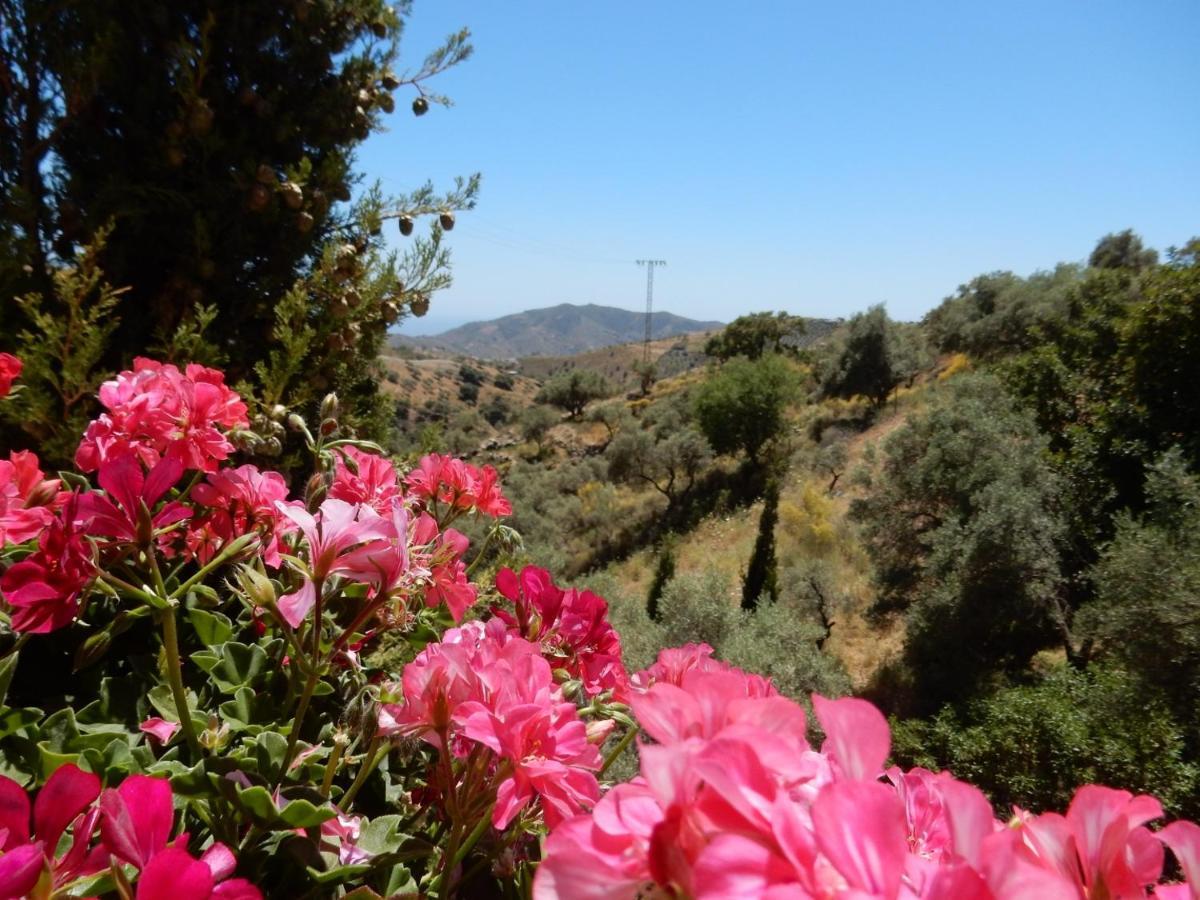 Sedella Bed And Breakfast Lagabella מראה חיצוני תמונה