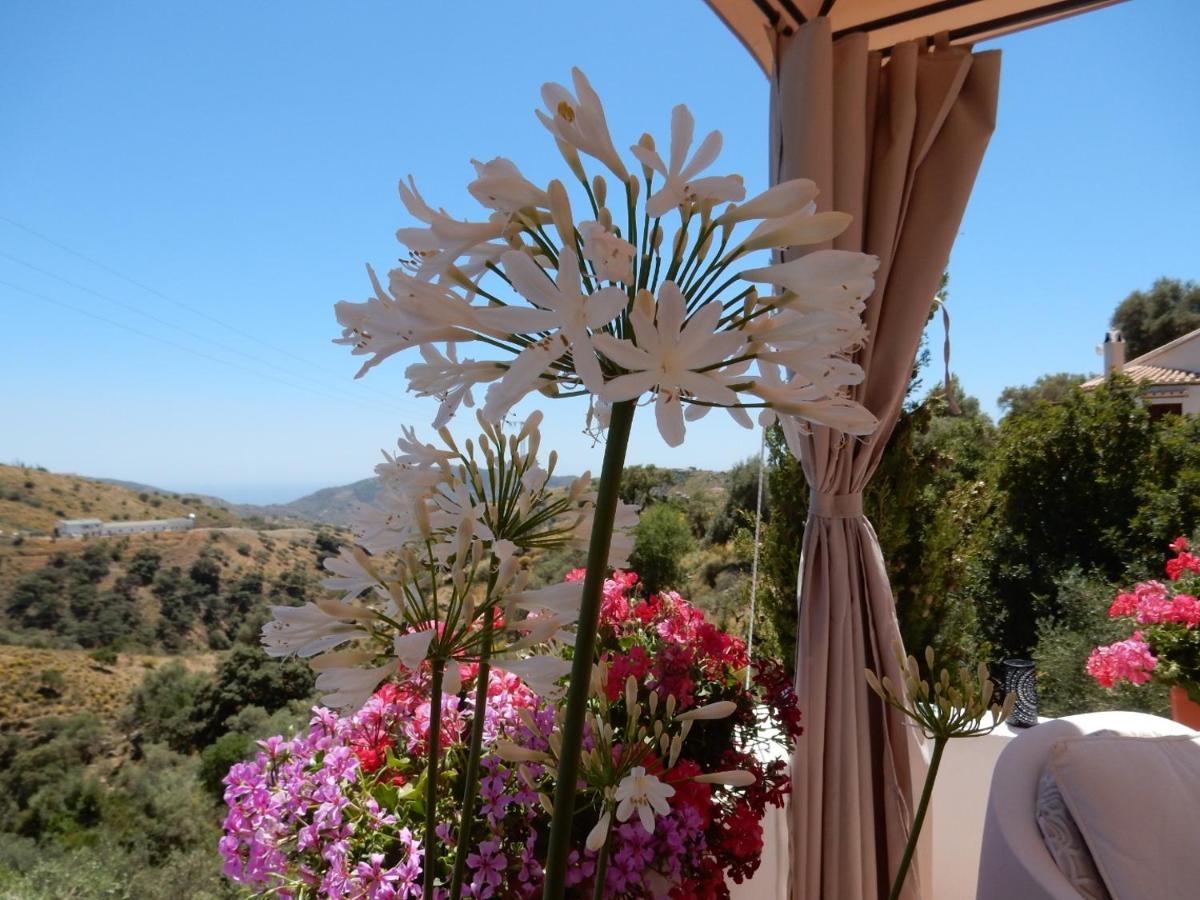 Sedella Bed And Breakfast Lagabella מראה חיצוני תמונה