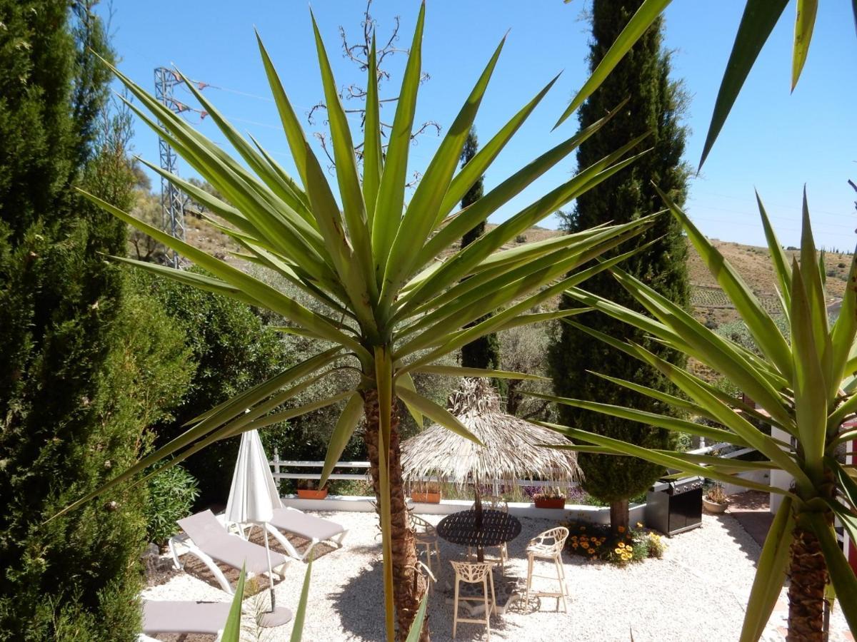 Sedella Bed And Breakfast Lagabella מראה חיצוני תמונה