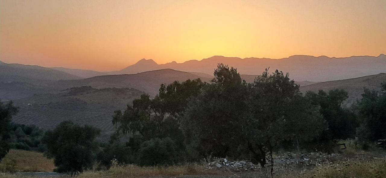 Sedella Bed And Breakfast Lagabella מראה חיצוני תמונה